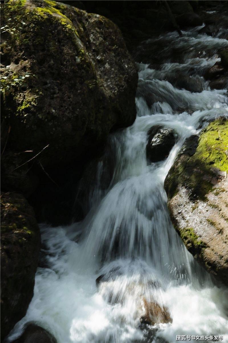 缤纷水果茶无敌版